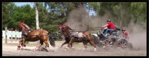 saumur-2014-029b88