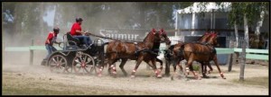 saumur-2014-049b88