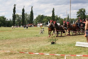 nebanice30.07.2016 033