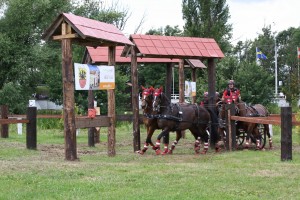 nebanice30.07.2016 054