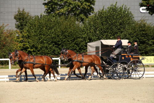 Dressur SM Bern 2020 2055