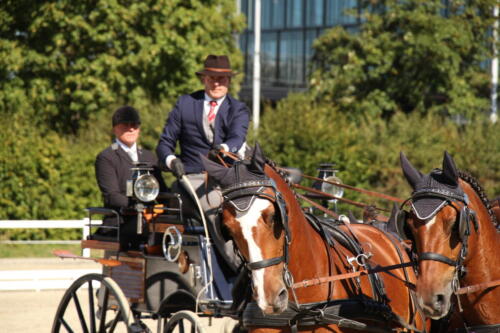 Dressur SM Bern 2020 2061