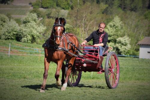 Esteban IMG 2609 b