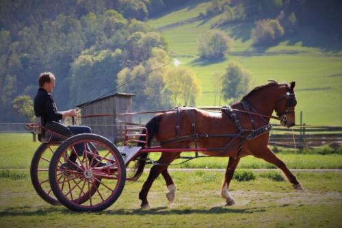 Esteban IMG 2773 b
