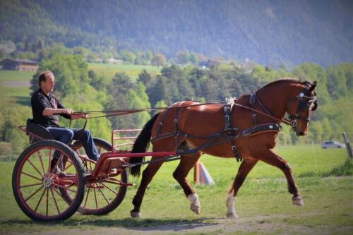 Esteban IMG 2953 b